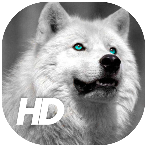 Wolf Wallpaper icon