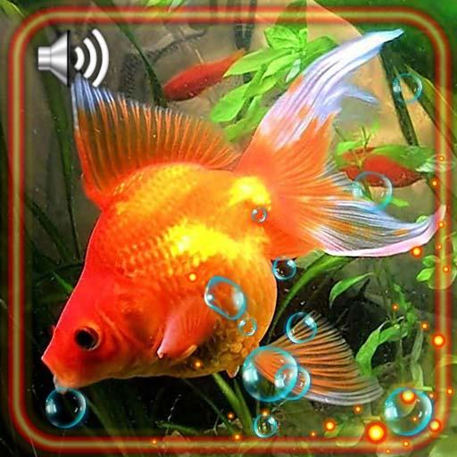 Fish Gold Best Live Wallpaper icon