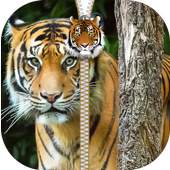 Wild Kitty Zipper Screen Lock icon