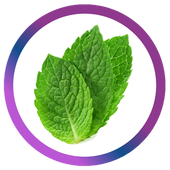 Mint Browser - Free Indian Browser! icon