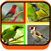 ikon SUARA BURUNG LENGKAP